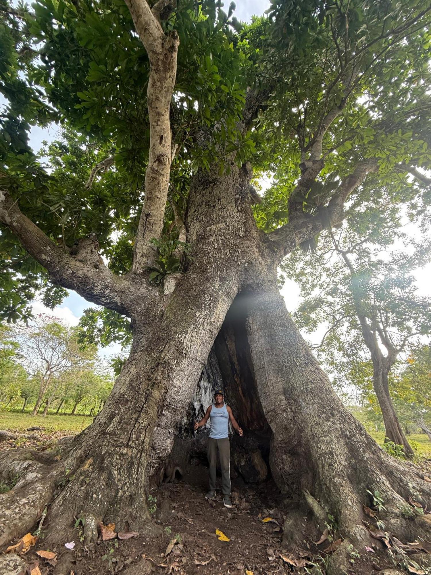 Las Cabanas De Mario Necoclí エクステリア 写真